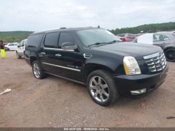  Salvage Cadillac Escalade