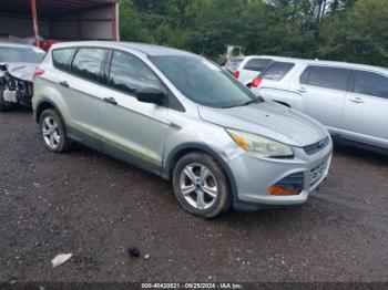  Salvage Ford Escape