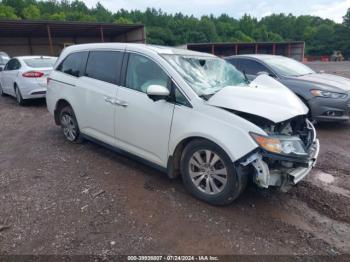  Salvage Honda Odyssey