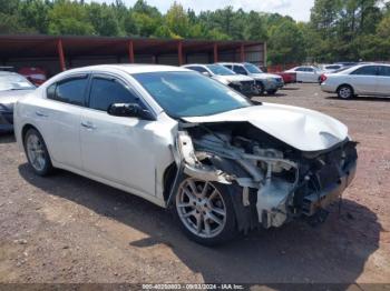  Salvage Nissan Maxima