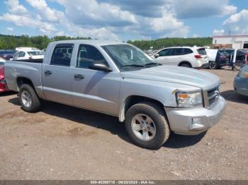  Salvage Dodge Dakota