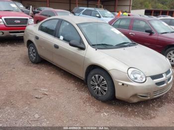  Salvage Dodge Neon