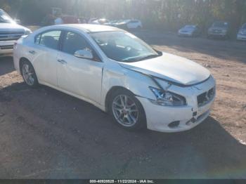  Salvage Nissan Maxima