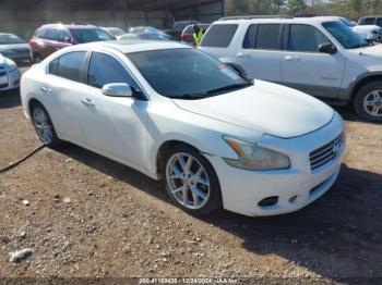  Salvage Nissan Maxima