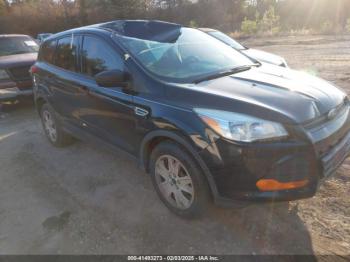  Salvage Ford Escape