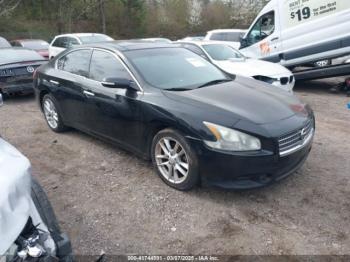  Salvage Nissan Maxima