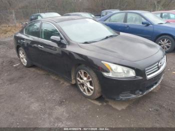  Salvage Nissan Maxima