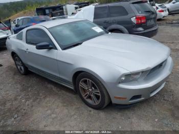  Salvage Ford Mustang