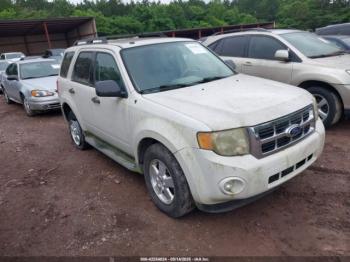  Salvage Ford Escape