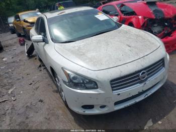  Salvage Nissan Maxima