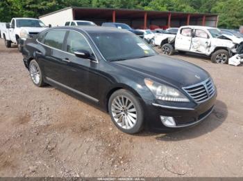  Salvage Hyundai Equus