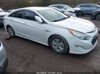  Salvage Hyundai SONATA