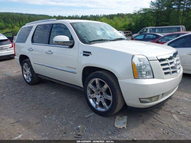  Salvage Cadillac Escalade