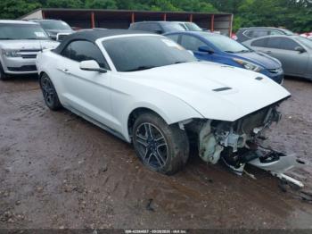  Salvage Ford Mustang