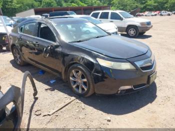  Salvage Acura TL