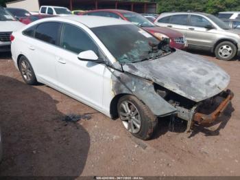  Salvage Hyundai SONATA