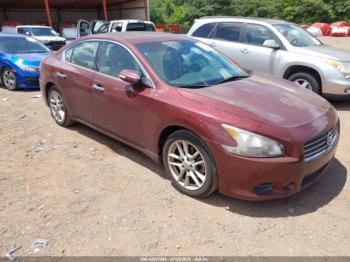  Salvage Nissan Maxima
