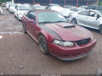  Salvage Ford Mustang