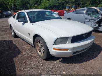  Salvage Ford Mustang