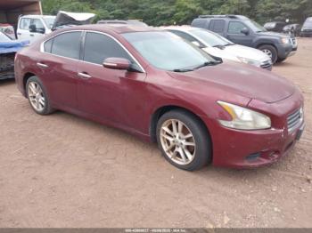  Salvage Nissan Maxima