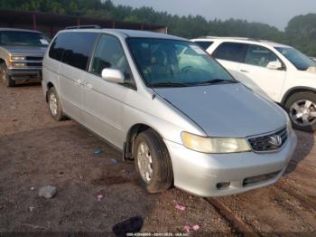  Salvage Honda Odyssey