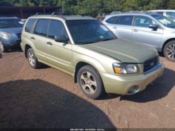  Salvage Subaru Forester