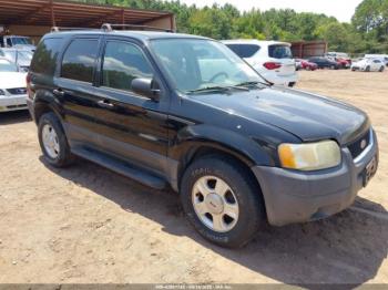  Salvage Ford Escape