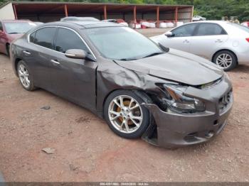  Salvage Nissan Maxima