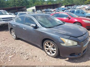  Salvage Nissan Maxima