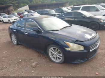  Salvage Nissan Maxima