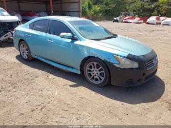  Salvage Nissan Maxima