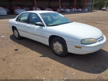 Salvage Chevrolet Lumina