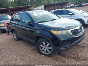  Salvage Kia Sorento