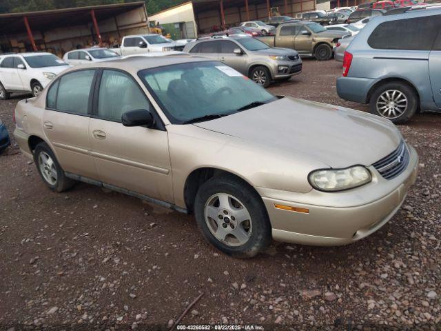  Salvage Chevrolet Malibu