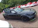Dodge Charger Scat Pack Widebody Image 7