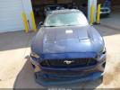 Ford Mustang Ecoboost Image 11