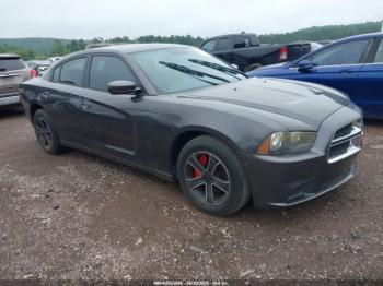  Salvage Dodge Charger