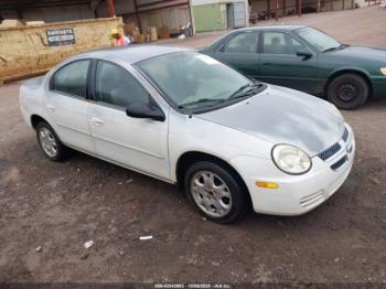  Salvage Dodge Neon