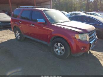  Salvage Ford Escape