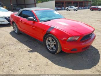  Salvage Ford Mustang