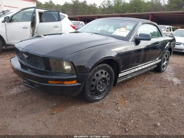 Ford Mustang Image 3