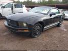 Ford Mustang Image 3