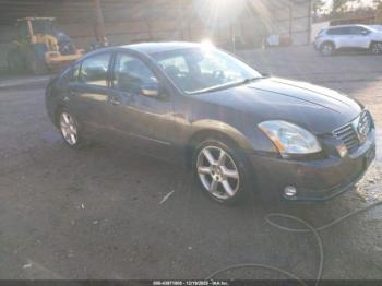 Salvage Nissan Maxima
