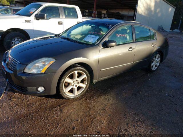 Nissan Maxima 3.5 Se Image 12