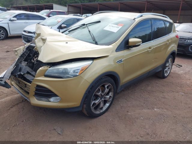 Ford Escape Titanium Image 6