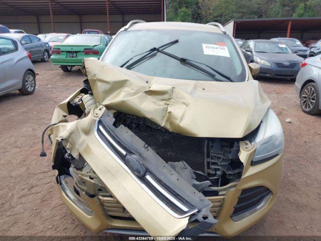 Ford Escape Titanium Image 4