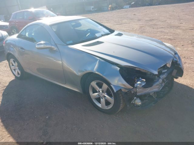 Mercedes-Benz Slk-class Image 1