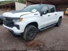 Chevrolet Silverado 1500 4wd  Short Bed Lt Trail Boss Image 5