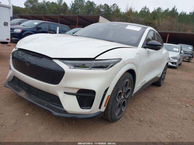 Ford Mustang Gt Image 8