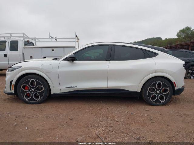 Ford Mustang Gt Image 19